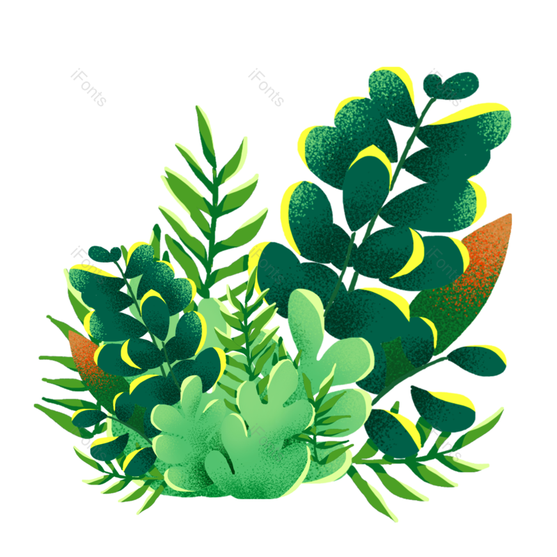 插画图片,植物素材元素,绿色元素PNG,绿色素材免抠素材